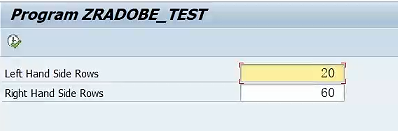 19.Adobe Form_Subform_Test_Selection Screen